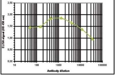 ELISA: Histone H4 [Methyl Lys20] Antibody [NBP2-59258]
